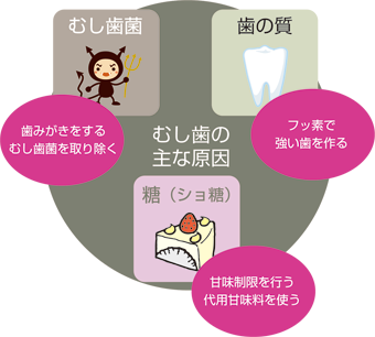 むし歯成立の3要素