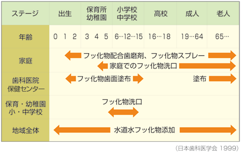 ライフステージによるフッ化物応用